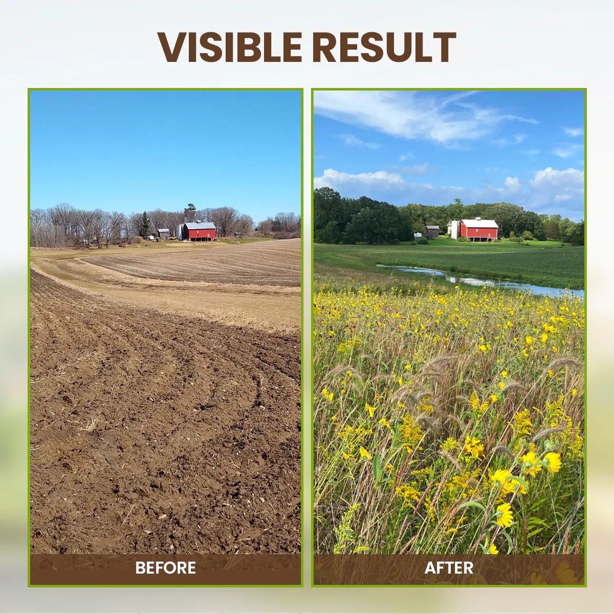 👩🏻‍🌾🌱Rejuvenate plants-Soil Pro Activator-XDX