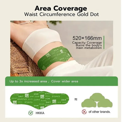 Hanpo Japanese Herbal patch Pad Balance Patch,Health-HHW
