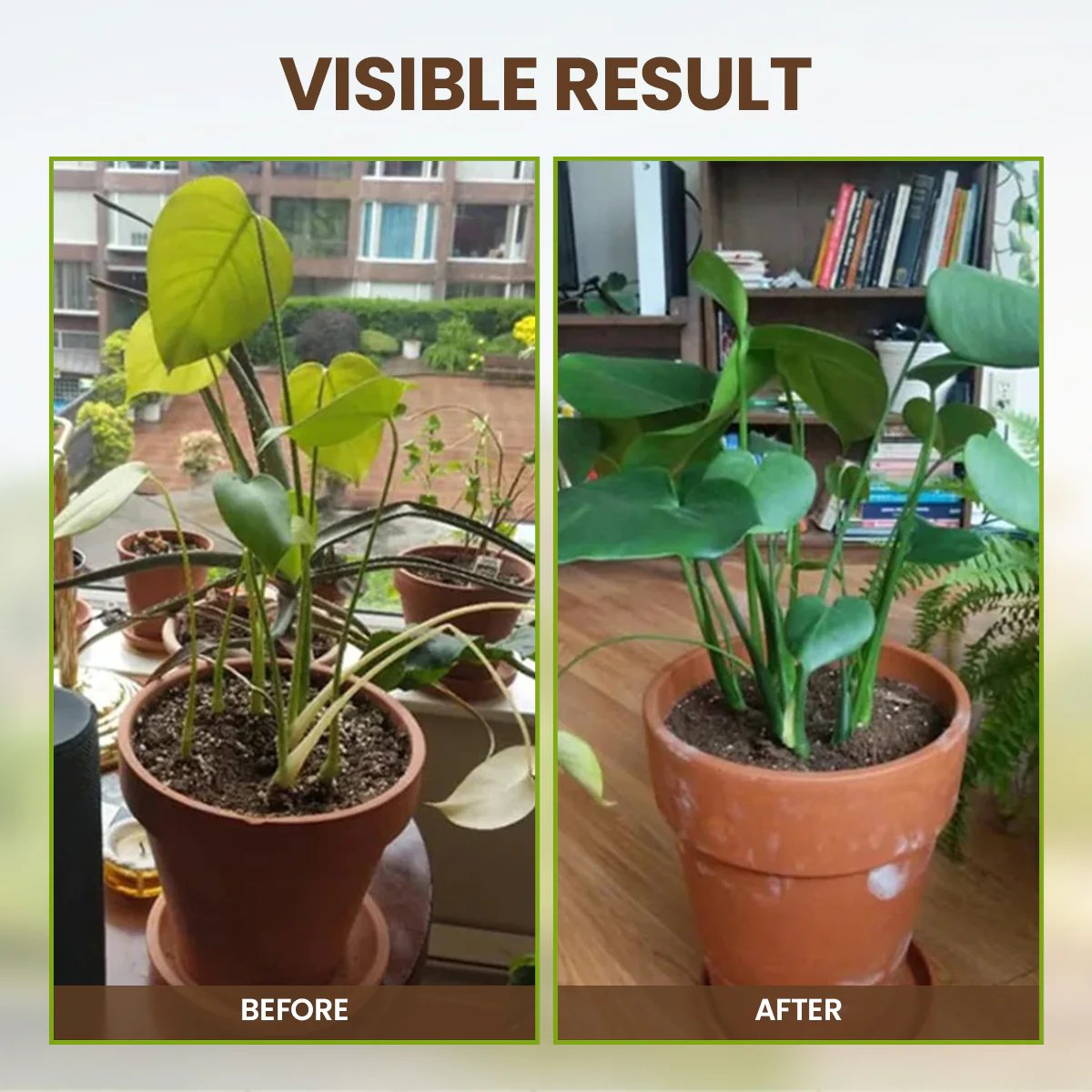 👩🏻‍🌾🌱Rejuvenate plants-Soil Pro Activator-XDX
