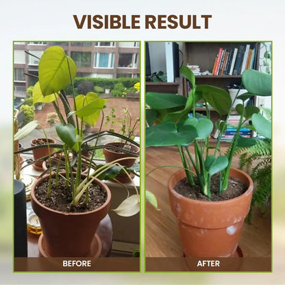 👩🏻‍🌾🌱Rejuvenate plants-Soil Pro Activator-XDX