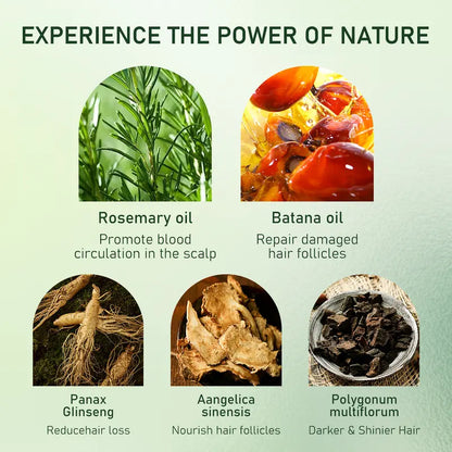 FUNZOO Hair Growth Serum Roll-On with Batana Oil & Rosemary for Scalp Care - Nourishing & Hair Regrowth Formula - 20ml